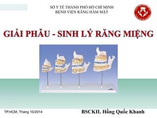 TP.HCM, Tháng 10/2014 BSCKII. Hồng Quốc Khanh
SỞ Y TẾ THÀNH PHỐ HỒ CHÍ MINH
BỆNH VIỆN RĂNG HÀM MẶT
 