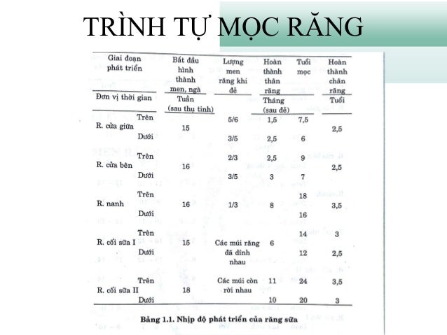 GIẢI PHẪU SINH LÝ RĂNG MIỆNG slideshare