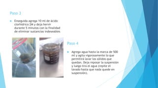 Paso 3
 Enseguida agrega 10 ml de ácido
clorhídrico 2M y deja hervir
durante 5 minutos con la finalidad
de eliminar sustancias indeseables
Paso 4
 Agrega agua hasta la marca de 500
ml y agita vigorosamente lo que
permitirá lavar los sólidos que
quedan. Deja reposar la suspensión
y luego tira el agua (repite el
lavado hasta que nada quede en
suspensión).
 