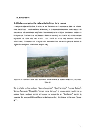 11
III. Resultados
III.1 De la caracterización del medio biofísico de la cuenca
La regeneración natural en la cuenca, se desarrolla sobre diversos tipos de relieve:
llano y colinoso. Lo más saltante a la vista y lo que principalmente es detectado por el
sensor son las densidades según los diferentes tipos de bosque: semidenso de llanura
o algarrobal ribereño que se presenta siempre verde y abundante sobre la margen
izquierda del valle del bajo Chira. Así, cerca al dique del embalse Poechos
(Lancones), se observa un bosque seco semidenso de escasa superficie, siendo el
algarrobo la especie dominante (Figura nº6)
Figura Nº6, Vista del bosque seco semidenso desde el dique de la presa Poechos (Lancones-
Sullana)
De otro lado en los sectores “Nuevo Lancones”, “San Francisco”, “Lomas Salinas”,
“Lomas Pamapa”, “El castillo”, “Lomas corral de León” el bosque seco transforma su
paisaje hacia sectores donde el bosque se encuentra en “defoliación” siendo la
escasez del recurso hídrico el factor más importante y dominante en la zona (figura,
Nº7).
 