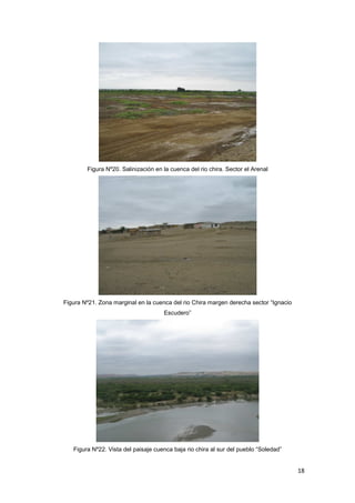 18
Figura Nº20. Salinización en la cuenca del rio chira. Sector el Arenal
Figura Nº21. Zona marginal en la cuenca del rio Chira margen derecha sector “Ignacio
Escudero”
Figura Nº22. Vista del paisaje cuenca baja rio chira al sur del pueblo “Soledad”
 