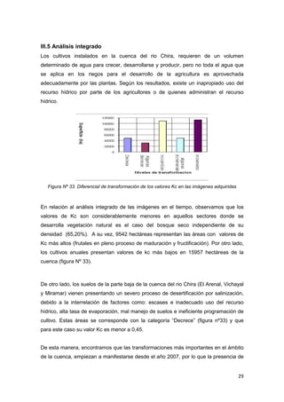29
III.5 Análisis integrado
Los cultivos instalados en la cuenca del rio Chira, requieren de un volumen
determinado de agua para crecer, desarrollarse y producir, pero no toda el agua que
se aplica en los riegos para el desarrollo de la agricultura es aprovechada
adecuadamente por las plantas. Según los resultados, existe un inapropiado uso del
recurso hídrico por parte de los agricultores o de quienes administran el recurso
hídrico.
Figura Nº 33. Diferencial de transformación de los valores Kc en las imágenes adquiridas
En relación al análisis integrado de las imágenes en el tiempo, observamos que los
valores de Kc son considerablemente menores en aquellos sectores donde se
desarrolla vegetación natural es el caso del bosque seco independiente de su
densidad (65,20%). A su vez, 9542 hectáreas representan las áreas con valores de
Kc más altos (frutales en pleno proceso de maduración y fructificación). Por otro lado,
los cultivos anuales presentan valores de kc más bajos en 15957 hectáreas de la
cuenca (figura Nº 33).
De otro lado, los suelos de la parte baja de la cuenca del rio Chira (El Arenal, Vichayal
y Miramar) vienen presentando un severo proceso de desertificación por salinización,
debido a la interrelación de factores como: escases e inadecuado uso del recurso
hídrico, alta tasa de evaporación, mal manejo de suelos e ineficiente programación de
cultivo. Estas áreas se corresponde con la categoría “Decrece” (figura nº33) y que
para este caso su valor Kc es menor a 0,45.
De esta manera, encontramos que las transformaciones más importantes en el ámbito
de la cuenca, empiezan a manifestarse desde el año 2007, por lo que la presencia de
 