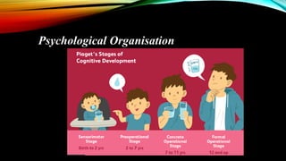 Knowledge and curriculum : Basis of knowledge organisation | PDF