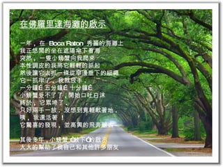 在佛羅里達海灘的啟示 一年 ,  在  Boca Raton  秀麗的海灘上 我正悠閒的坐在遮陽傘下看海 突然 ,  一隻小螃蟹向我爬來 本性調皮的我將它輕輕的抓起 然後讓它去抓一條從傘邊垂下的細繩 它一抓牢了 ,  我就放手 . 一分鐘…五分鐘…十分鐘… 小螃蟹受不了了 , 開始口吐白沫 終於 ,  它累垮了 .  只好兩手一放 .  沒想到竟輕軟著地 . 咦 ,  我還活著  ! 它驚喜的發現 ,  並高興的飛奔離去 其後多年 , 小螃蟹 “放下”的啟示 大大的幫助了我自己和其他許多朋友 