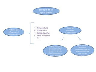 Ecología de las
                         Aguas Dulces




                  •   Temperatura                            Tipos de
  Factores que    •   Iluminacion                          Ambientes
 Influyen en el
                  •   Gases disueltos                     Dulceacuícolas
Medio Acuático
                  •   Sales minerales
                  •   Ph


                                      Aguas lóticas o                     Aguas lénticas o
                                   corrientes, incluyen                      estancadas,
                                    todas las masas de                 comprenden todas las
                                   agua que se mueven                   aguas interiores que
                                  continuamente en una                      no presentan
                                     misma dirección                     corriente continua.
 