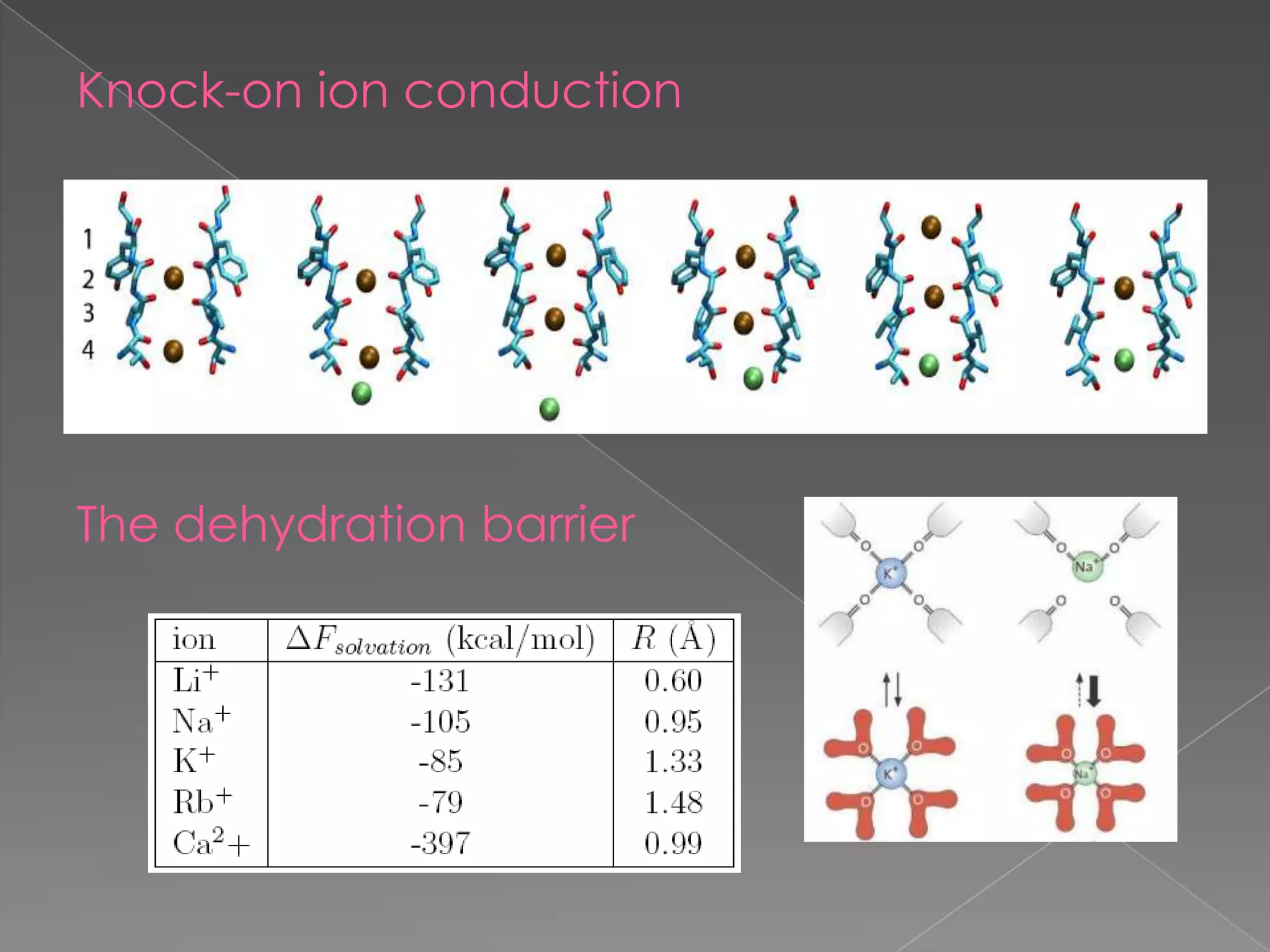 Knock-on ion conduction

The dehydration barrier

 