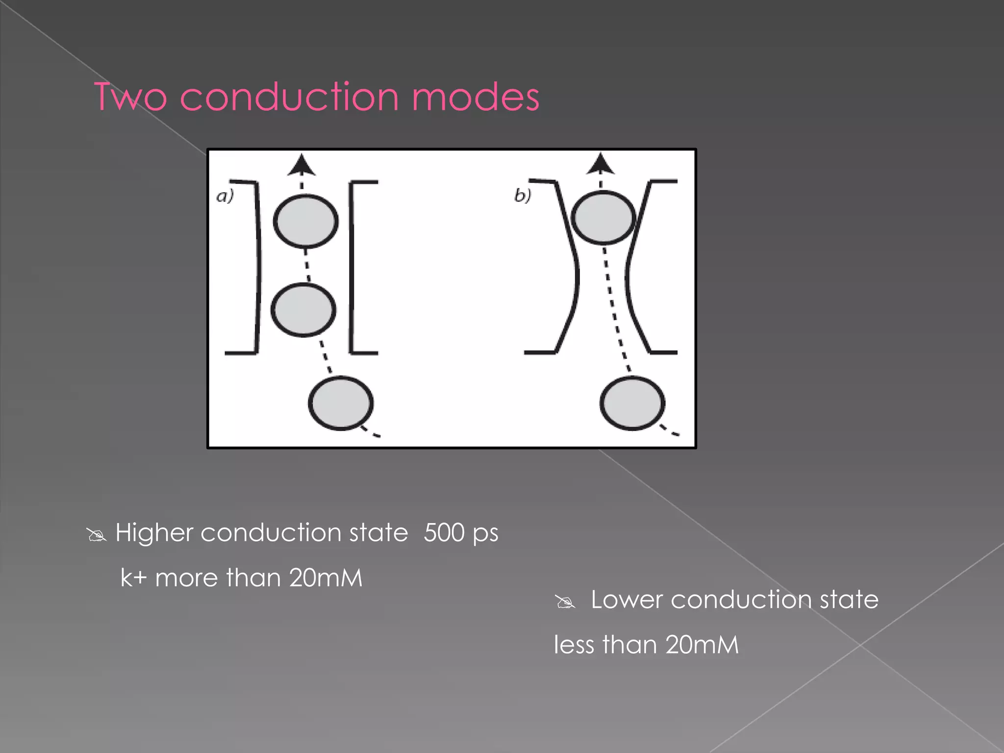 Two conduction modes

 Higher conduction state 500 ps
k+ more than 20mM

 Lower conduction state
less than 20mM

 