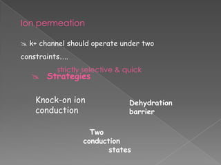 Ion permeation
 k+ channel should operate under two

constraints…..
strictly selective & quick

 Strategies
Knock-on ion
conduction

Dehydration
barrier

Two
conduction
states

 