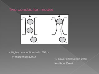 Two conduction modes

 Higher conduction state 500 ps
k+ more than 20mM

 Lower conduction state
less than 20mM

 