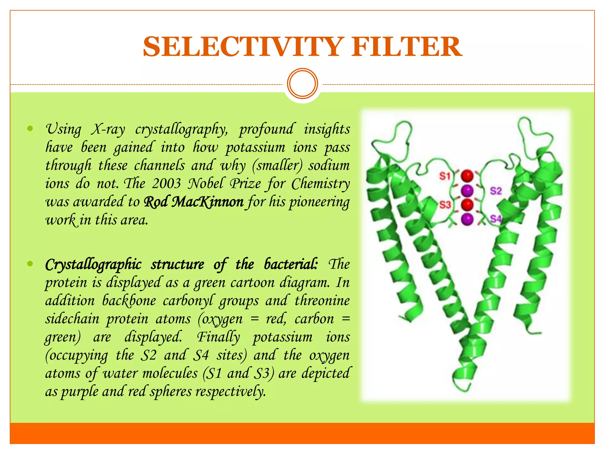 Potassium (K+) channels | PPTX