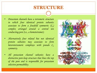 Potassium (K+) channels | PPTX