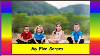 My Five Senses
 