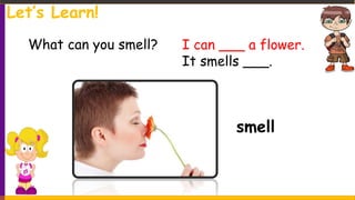 smell
What can you smell? I can ___ a flower.
It smells ___.
Let’s Learn!
 