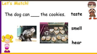 taste
smell
hear
The dog can ___ the cookies.
Let’s Match!
 