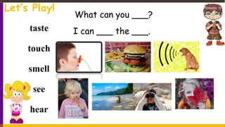 What can you ___?
I can ___ the ___.taste
touch
smell
see
hear
Let’s Play!
 