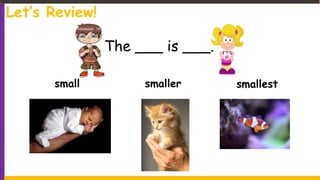 small smaller smallest
The ___ is ___.
Let’s Review!
 