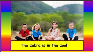 The zebra is in the zoo!
 