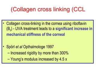 Collagen cross linking (CCL) Collagen cross-linking in the cornea using riboflavin (B 2 ) - UVA treatment leads to a  significant increase in mechanical stiffness of the corneal Sp örl  et al  Opthalmologe 1997 Increased rigidity by more than 300% Young ’ s modulus increased by 4.5 x 