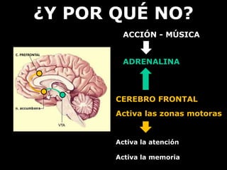 ¿Y POR QUÉ NO? 
ACCIÓN - MÚSICA 
ADRENALINA 
CEREBRO FRONTAL 
Activa las zonas motoras 
Activa la atención 
Activa la memoria 
ACTIVA 
ATENCIÓN 
C. PREFRONTAL 
 