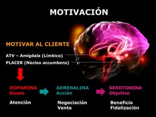 MOTIVACIÓN 
MOTIVAR AL CLIENTE 
ATV – Amígdala (Límbico) 
PLACER (Núcleo accumbens) 
DOPAMINA 
Deseo 
ADRENALINA 
Acción 
SEROTONINA 
Objetivo 
Atención Negociación 
Venta 
Beneficio 
Fidelización 
 