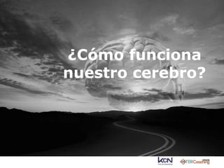 ¿Cómo funciona 
nuestro cerebro? 
 