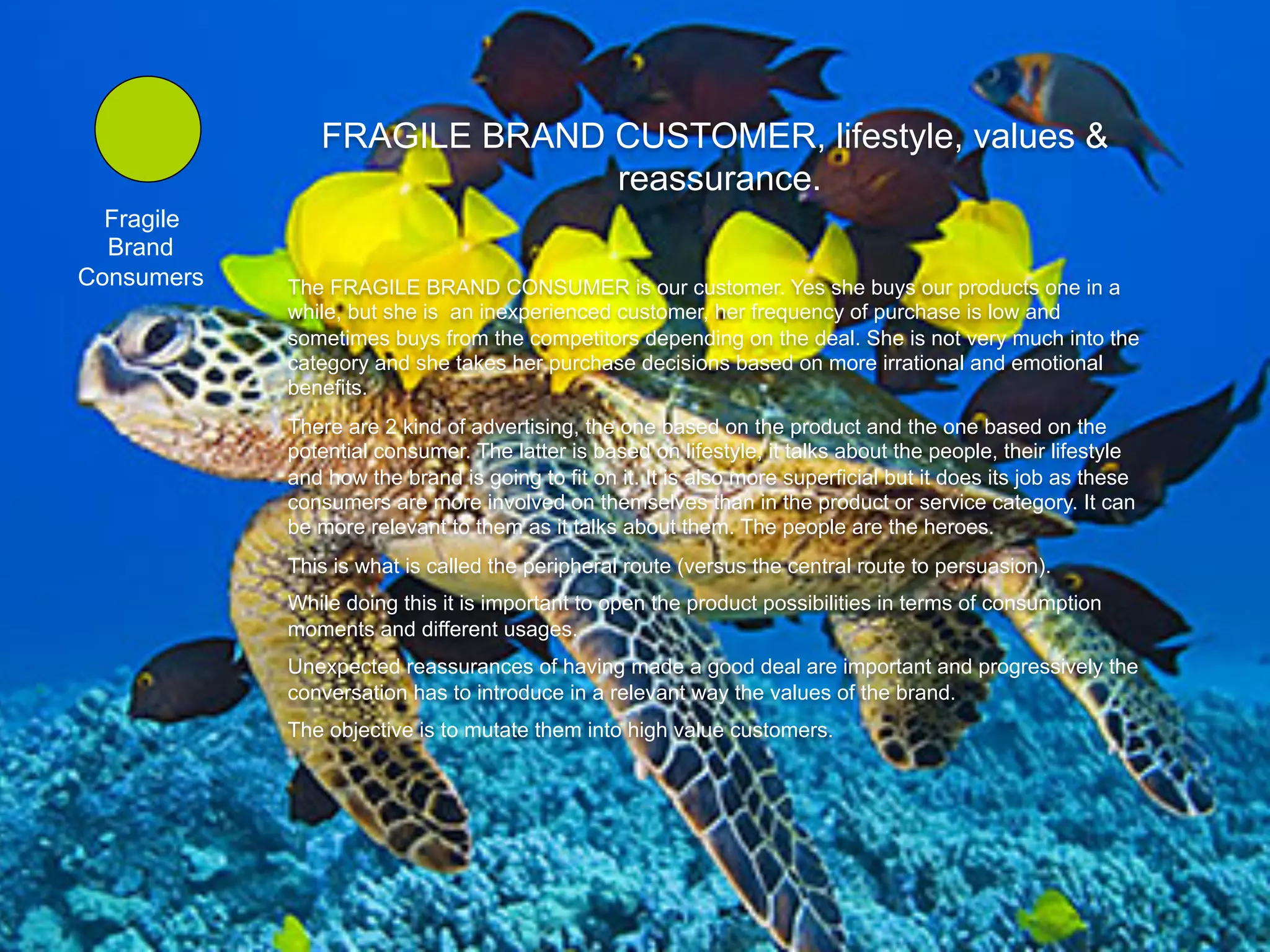 FRAGILE BRAND CUSTOMER, lifestyle, values &
                             reassurance.
  Fragile
  Brand
Consumers   The FRAGILE BRAND CONSUMER is our customer. Yes she buys our products one in a
            while, but she is an inexperienced customer, her frequency of purchase is low and
            sometimes buys from the competitors depending on the deal. She is not very much into the
            category and she takes her purchase decisions based on more irrational and emotional
            benefits.
            There are 2 kind of advertising, the one based on the product and the one based on the
            potential consumer. The latter is based on lifestyle, it talks about the people, their lifestyle
            and how the brand is going to fit on it. It is also more superficial but it does its job as these
            consumers are more involved on themselves than in the product or service category. It can
            be more relevant to them as it talks about them. The people are the heroes.
            This is what is called the peripheral route (versus the central route to persuasion).
            While doing this it is important to open the product possibilities in terms of consumption
            moments and different usages.
            Unexpected reassurances of having made a good deal are important and progressively the
            conversation has to introduce in a relevant way the values of the brand.
            The objective is to mutate them into high value customers.
 