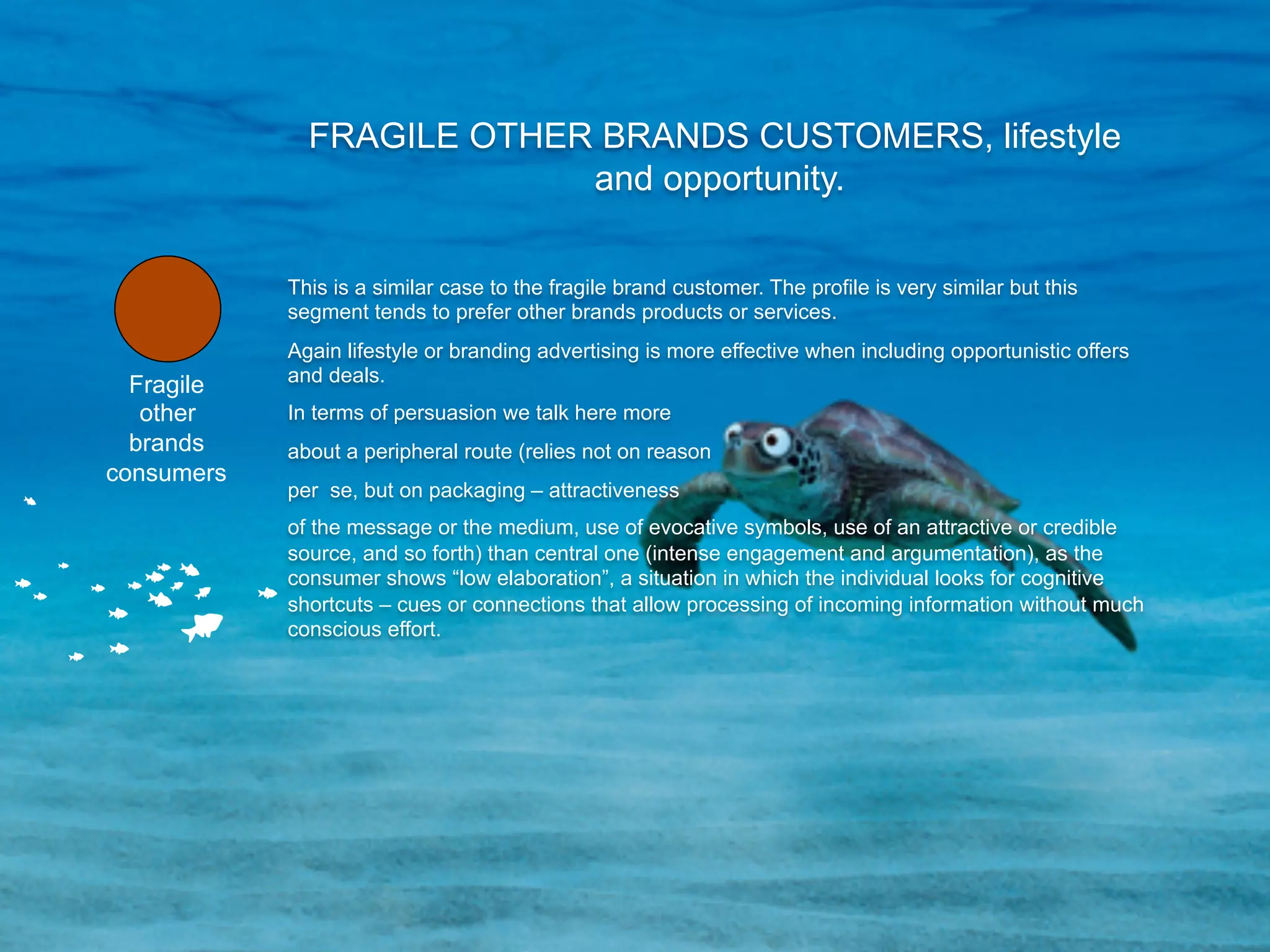 FRAGILE OTHER BRANDS CUSTOMERS, lifestyle
                           and opportunity.

            This is a similar case to the fragile brand customer. The profile is very similar but this
            segment tends to prefer other brands products or services.
            Again lifestyle or branding advertising is more effective when including opportunistic offers
            and deals.
  Fragile
   other    In terms of persuasion we talk here more
  brands    about a peripheral route (relies not on reason
consumers
            per se, but on packaging – attractiveness
            of the message or the medium, use of evocative symbols, use of an attractive or credible
            source, and so forth) than central one (intense engagement and argumentation), as the
            consumer shows “low elaboration”, a situation in which the individual looks for cognitive
            shortcuts – cues or connections that allow processing of incoming information without much
            conscious effort.
 