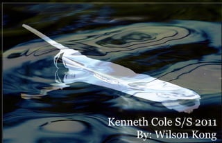 Kenneth Cole S/S 2011
     By: Wilson Kong
 