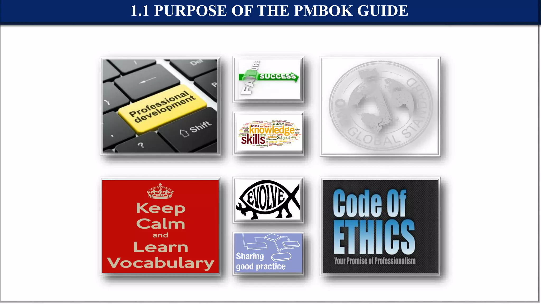 1.1 PURPOSE OF THE PMBOK GUIDE
 