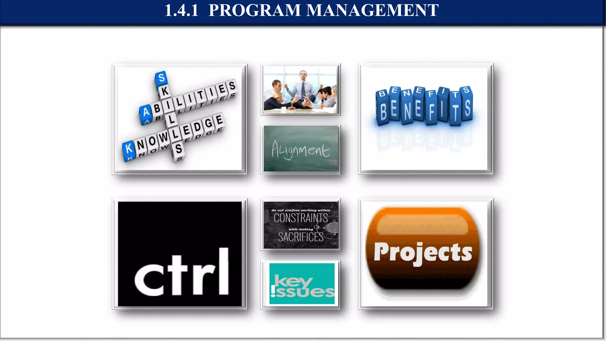 1.4.1 PROGRAM MANAGEMENT
 