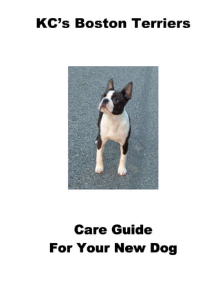 KC’s Boston Terriers
Care Guide
For Your New Dog
 