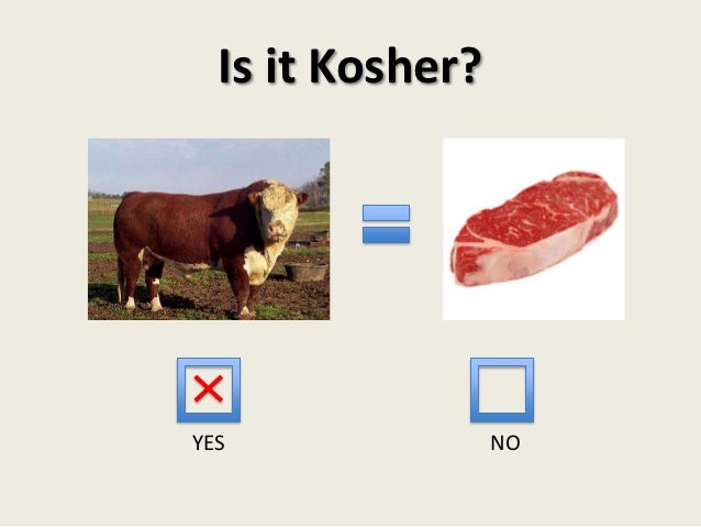 What Foods Does The Bible Say We Should Eat What Foods Does The Bible Say We Should Eat