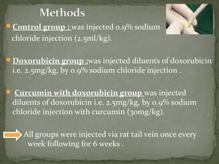 Control group : was injected 0.9% sodium
chloride injection (2.5ml/kg).
Doxorubicin group :was injected diluents of doxo...