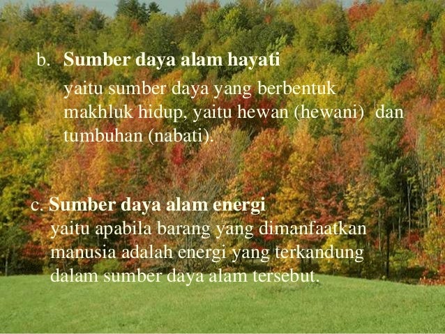 Sumber Daya Alam 33254961