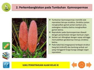 KD. 3.2 Sistem Perkembangbiakan Tumb Hewan (pert. 4-5).pptx
