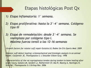 Etapas histológicas Post Qx
1) Etapa inflamatoria: 1° semana.
2) Etapa proliferativa: hasta la 3°-4° semana. Colágeno
tipo III
3) Etapa de remodelación: desde 3°-4° semana. Se
reemplaza por colágeno tipo I.
Máxima fuerza tensil a las 12-16 semanas
-Growth factors for rotator cuff repair-Gulotta LV, Rodeo SA-Clin Sports Med. 2009
-Rotator cuff defect healing: a biomechanical and histologic analysis in an animal
model.-Carpenter JE, Thomopoulos S.-J Shoulder Elbow Surg. 1998
-Characteristics of the rat supraspinatus tendon during tendon-to-bone healing after
acute injury.-Galatz LM, Sandell LJ, Rothermich SY, Das R, Mastny A, Havlioglu N,
Silva MJ, Thomopoulos S-J Orthop Res. 2006
 