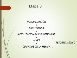 Etapa 0
INMOVILIZACIÓN
+
CRIOTERAPIA
+
MOVILIZACIÓN PASIVA ARTICULAR
+
AINES
+
CUIDADOS DE LA HERIDA
RESORTE MÉDICO
 