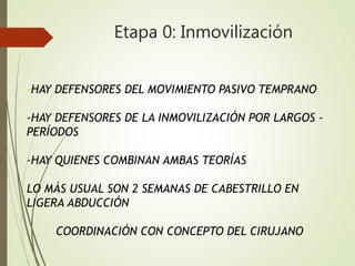 Etapa 0: Inmovilización
-HAY DEFENSORES DEL MOVIMIENTO PASIVO TEMPRANO
-HAY DEFENSORES DE LA INMOVILIZACIÓN POR LARGOS -
PERÍODOS
-HAY QUIENES COMBINAN AMBAS TEORÍAS
LO MÁS USUAL SON 2 SEMANAS DE CABESTRILLO EN
LIGERA ABDUCCIÓN
COORDINACIÓN CON CONCEPTO DEL CIRUJANO
 