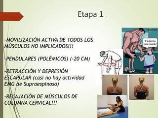 Etapa 1
-MOVILIZACIÓN ACTIVA DE TODOS LOS
MÚSCULOS NO IMPLICADOS!!!
-PENDULARES (POLÉMICOS) (-20 CM)
-RETRACCIÓN Y DEPRESIÓN
ESCAPULAR (casi no hay actividad
EMG de Supraespinoso)
-RELAJACIÓN DE MÚSCULOS DE
COLUMNA CERVICAL!!!
 
