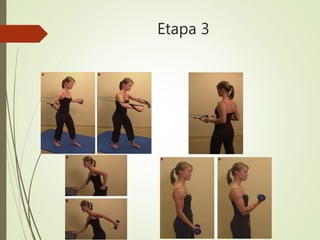 Etapa 3
 