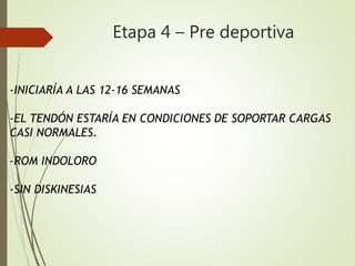 Etapa 4 – Pre deportiva
-INICIARÍA A LAS 12-16 SEMANAS
-EL TENDÓN ESTARÍA EN CONDICIONES DE SOPORTAR CARGAS
CASI NORMALES.
-ROM INDOLORO
-SIN DISKINESIAS
 