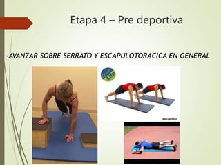 Etapa 4 – Pre deportiva
-AVANZAR SOBRE SERRATO Y ESCAPULOTORACICA EN GENERAL
 