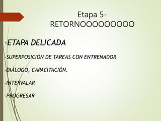 Etapa 5-
RETORNOOOOOOOOO
-ETAPA DELICADA
-SUPERPOSICIÓN DE TAREAS CON ENTRENADOR
-DIÁLOGO, CAPACITACIÓN.
-INTERVALAR
-PROGRESAR
 