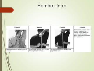 Hombro-Intro
 
