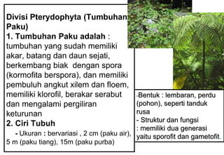 Divisi Pterydophyta (Tumbuhan
Paku)
1. Tumbuhan Paku adalah :
tumbuhan yang sudah memiliki
akar, batang dan daun sejati,
berkembang biak dengan spora
(kormofita berspora), dan memiliki
pembuluh angkut xilem dan floem,
memiliki klorofil, berakar serabut
dan mengalami pergiliran
keturunan
2. Ciri Tubuh
- Ukuran : bervariasi , 2 cm (paku air),
5 m (paku tiang), 15m (paku purba)
Bentuk : lembaran, perdu
(pohon), seperti tanduk
rusa
- Struktur dan fungsi
: memiliki dua generasi
yaitu sporofit dan gametofit.
 