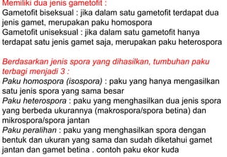 Memiliki dua jenis gametofit :
Gametofit biseksual : jika dalam satu gametofit terdapat dua
jenis gamet, merupakan paku homospora
Gametofit uniseksual : jika dalam satu gametofit hanya
terdapat satu jenis gamet saja, merupakan paku heterospora
Berdasarkan jenis spora yang dihasilkan, tumbuhan paku
terbagi menjadi 3 :
Paku homospora (isospora) : paku yang hanya mengasilkan
satu jenis spora yang sama besar
Paku heterospora : paku yang menghasilkan dua jenis spora
yang berbeda ukurannya (makrospora/spora betina) dan
mikrospora/spora jantan
Paku peralihan : paku yang menghasilkan spora dengan
bentuk dan ukuran yang sama dan sudah diketahui gamet
jantan dan gamet betina . contoh paku ekor kuda
 