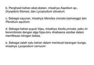 b. Penghasil bahan obat-obatan, misalnya Aspidium sp.,
Dryopteris filixmas, dan Lycopodium clavatum.
c. Sebagai sayuran, misalnya Marsilea crenata (semanggi) dan
Pteridium aquilium.
d. Sebagai bahan pupuk hijau, misalnya Azolla pinnata, paku ini
bersimbiosis dengan alga hijau-biru Anabaena azollae dalam
memfiksasi nitrogen bebas.
e. Sebagai salah satu bahan dalam membuat karangan bunga,
misalnya Lycopodium cernuum
 