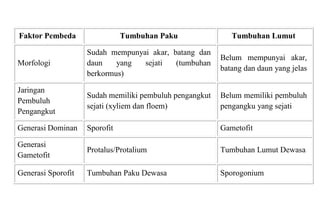 Faktor Pembeda Tumbuhan Paku Tumbuhan Lumut
Morfologi
Sudah mempunyai akar, batang dan
daun yang sejati (tumbuhan
berkormus)
Belum mempunyai akar,
batang dan daun yang jelas
Jaringan
Pembuluh
Pengangkut
Sudah memiliki pembuluh pengangkut
sejati (xyliem dan floem)
Belum memiliki pembuluh
pengangku yang sejati
Generasi Dominan Sporofit Gametofit
Generasi
Gametofit
Protalus/Protalium Tumbuhan Lumut Dewasa
Generasi Sporofit Tumbuhan Paku Dewasa Sporogonium
 