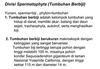 Divisi Spermatophyta (Tumbuhan Berbiji)
Yunani, sperma=biji , phyton=tumbuhan
1. Tumbuhan berbiji adalah kelompok tumbuhan yang
hidup di darat, memiliki akar, batang dan daun
sejati, tracheophyta, autotrof, serta menghasilkan
biji.
2. Tumbuhan berbiji berukuran makroskopik dengan
ketinggian yang sangat bervariasi.
Tumbuhan biji tertinggi berupa pohon dengan
tinggi melebihi 100 m. misalnya pohon
konifer Sequoiadendron giganteum di taman
Nasional Yosemite California, dengan tinggi
sektar 115 m dan diameter 14 m.
 