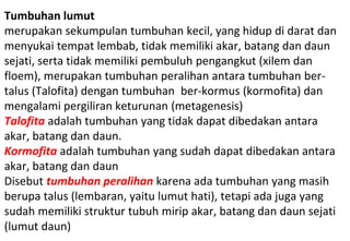 Tumbuhan lumut
merupakan sekumpulan tumbuhan kecil, yang hidup di darat dan
menyukai tempat lembab, tidak memiliki akar, batang dan daun
sejati, serta tidak memiliki pembuluh pengangkut (xilem dan
floem), merupakan tumbuhan peralihan antara tumbuhan ber-
talus (Talofita) dengan tumbuhan ber-kormus (kormofita) dan
mengalami pergiliran keturunan (metagenesis)
Talofita adalah tumbuhan yang tidak dapat dibedakan antara
akar, batang dan daun.
Kormofita adalah tumbuhan yang sudah dapat dibedakan antara
akar, batang dan daun
Disebut tumbuhan peralihan karena ada tumbuhan yang masih
berupa talus (lembaran, yaitu lumut hati), tetapi ada juga yang
sudah memiliki struktur tubuh mirip akar, batang dan daun sejati
(lumut daun)
 
